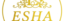 Esha Boutique style.com